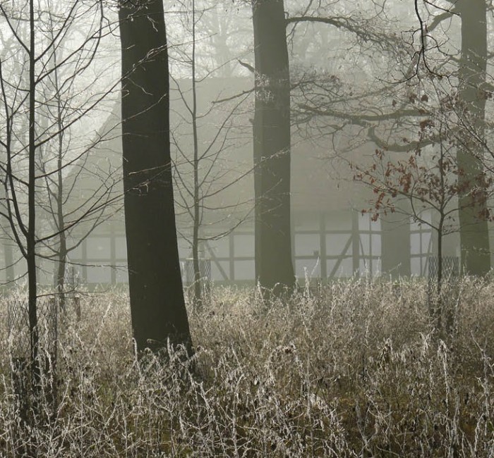 tiergartenkalender1