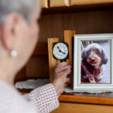 „Man will nichts unversucht lassen“: Wie Tierarzt-Kosten eine Seniorin aus Hannover in Not bringen