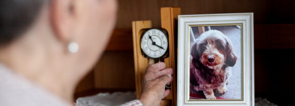 „Man will nichts unversucht lassen“: Wie Tierarzt-Kosten eine Seniorin aus Hannover in Not bringen