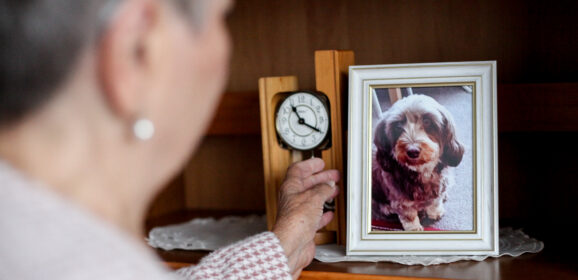 &bdquo;Man will nichts unversucht lassen&ldquo;: Wie Tierarzt-Kosten eine Seniorin aus Hannover in Not bringen